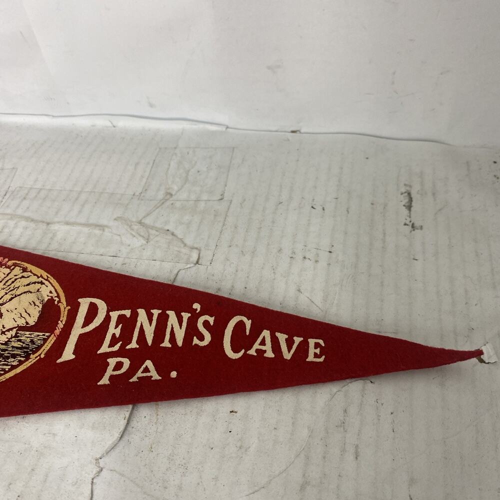 Vintage 1960s Penn's Cave Pennsylvania Souvenir Felt Pennant 12” - Picture 3 of 4